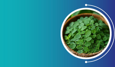 Moringa Extract