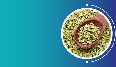 Fennel Extract
