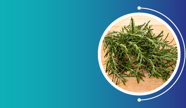 Rosemary Extract