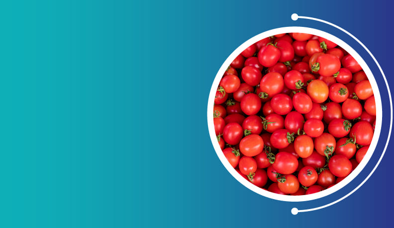 Lycopene Extract