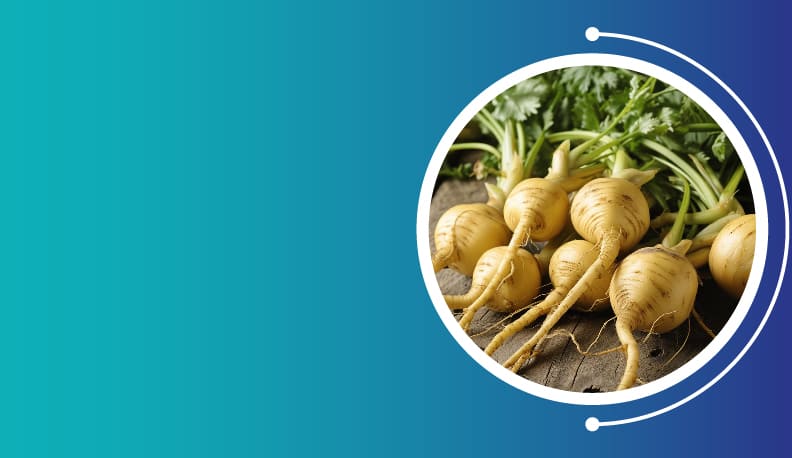 Maca Root Extract