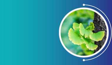 Ginkgo Biloba Extract