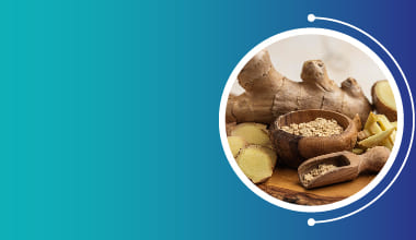 Ginseng Extract
