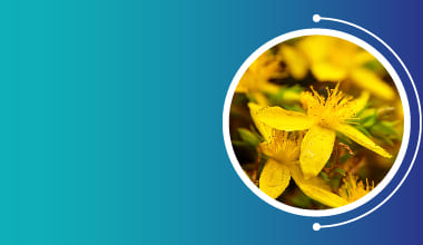 St. John's Wort Extract