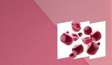 Resveratrol